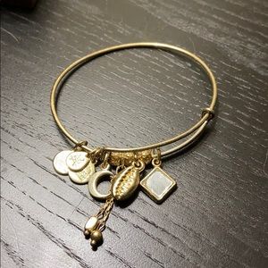 Alex and Ani multi charm bangle